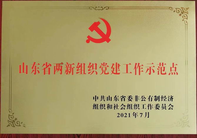 山東省高新組織黨建工作示范點(diǎn)